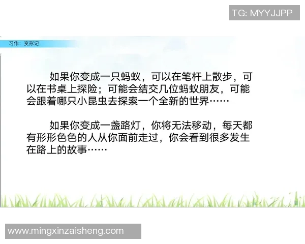 变形计中的足球明星成长之路与人生转折的真实故事