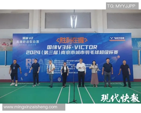 南京羽毛球队运营揭秘：深度解析背后的管理与发展策略