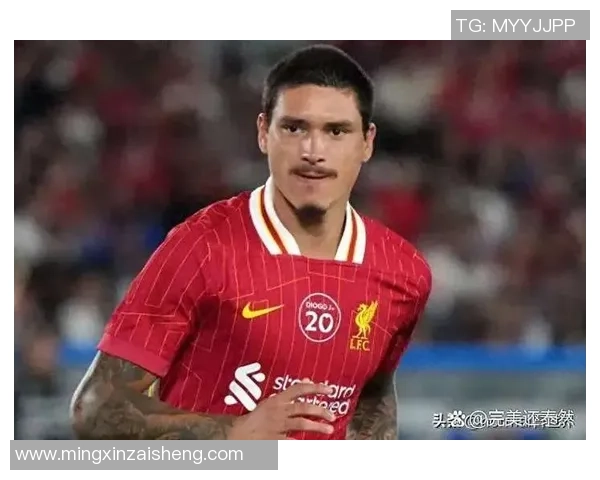 达尔文足球明星的真实身份揭晓你知道是谁吗