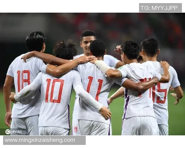 小毛驴足球明星的成长之路与梦想追逐的精彩故事