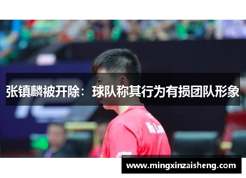 张镇麟被开除：球队称其行为有损团队形象