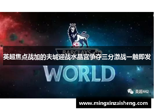 英超焦点战加的夫城迎战水晶宫争夺三分激战一触即发