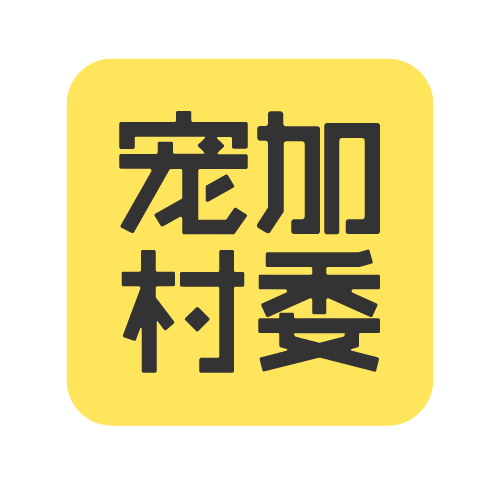 胡飞飞